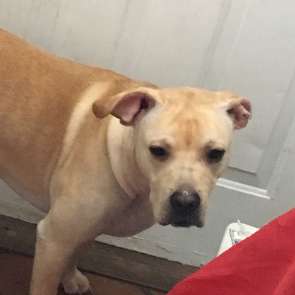 Meet your Posher, Sarah - Picture 1 of 1